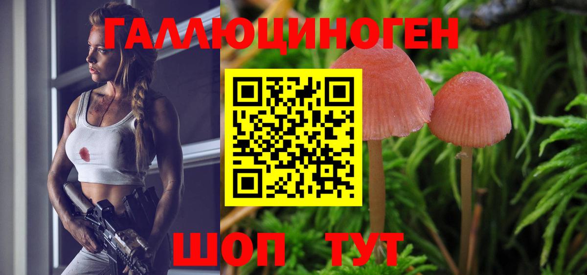 даркнет сайт  Вход с VPN  Псилоцибиновые грибы Cubensis  Киров  Псилоцибиновые грибы Cubensis 