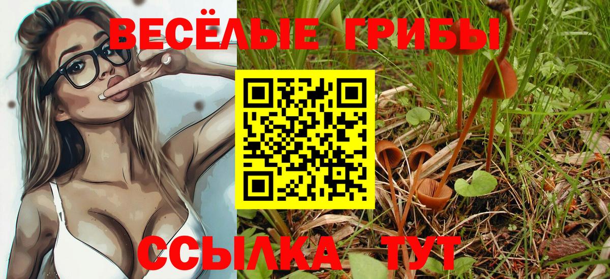 Меф МЯУ МЯУ   ГАШИШ  MDMA  Вход с VPN  ГАШИШ  Киров  КОКАИН 
